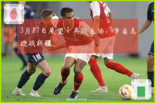 3月17日展望 I 再战主场，华南虎迎战新疆