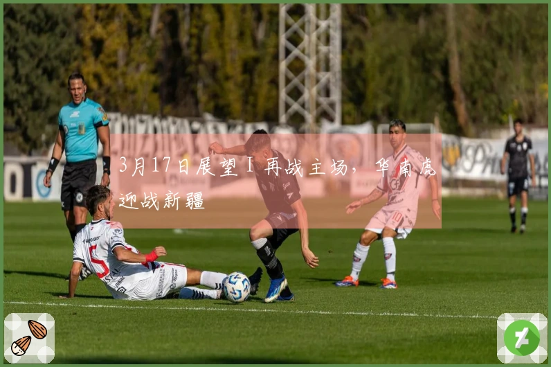 3月17日展望 I 再战主场，华南虎迎战新疆